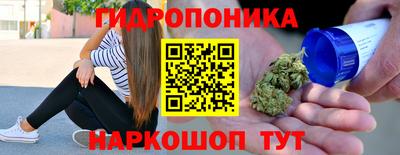крисы Ливны