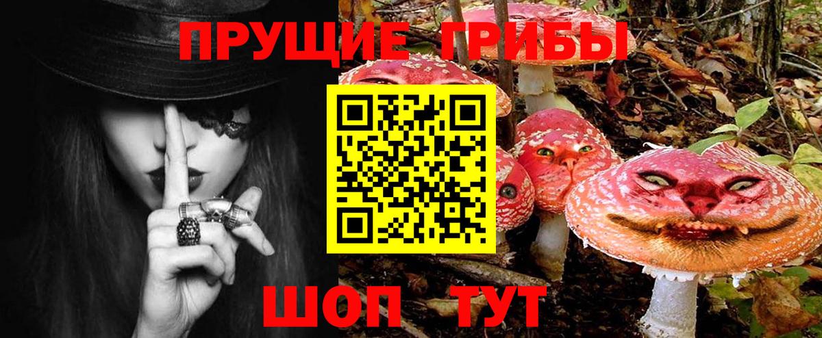 Галлюциногенные грибы Psilocybe  Псилоцибиновые грибы GOLDEN TEACHER  Вход с VPN  Гусь-Хрустальный 